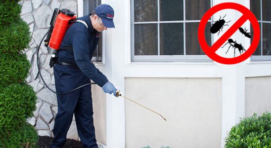Çobanlar Uçan Haşere İlaçlama böcek ilaçlama ve haşere kontrolü — ilaclama-tr.com